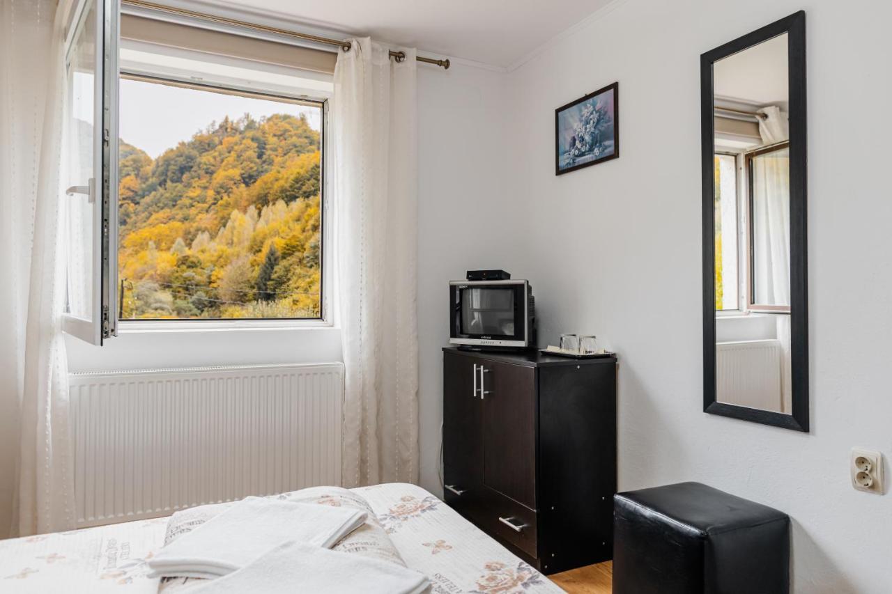 ホテルCasa Ardeleana Lotrioara エクステリア 写真