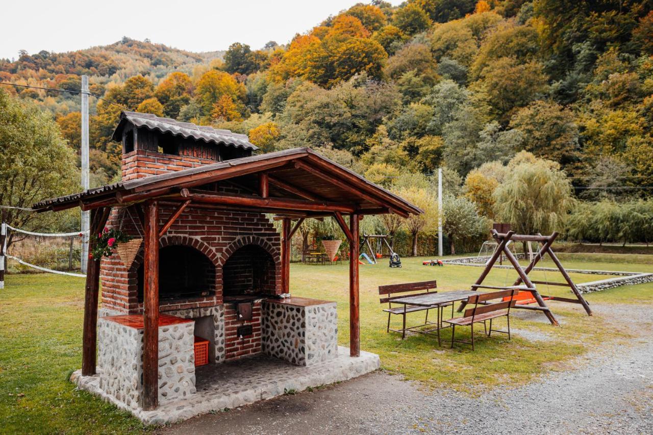 ホテルCasa Ardeleana Lotrioara エクステリア 写真